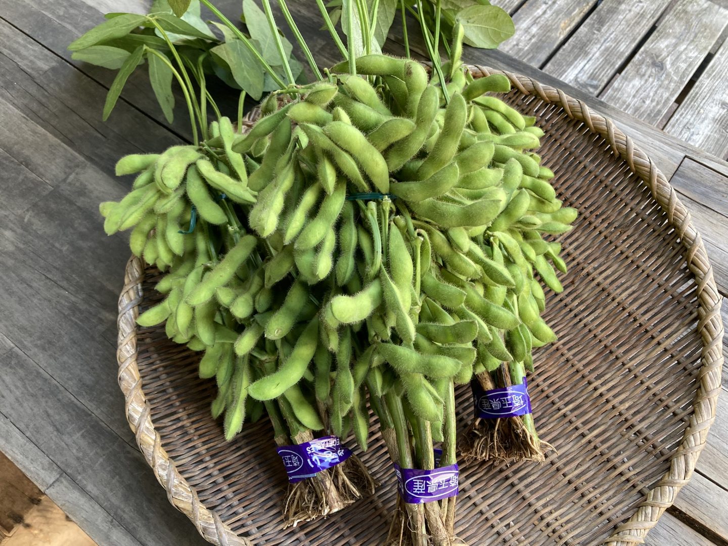 旬菜情報