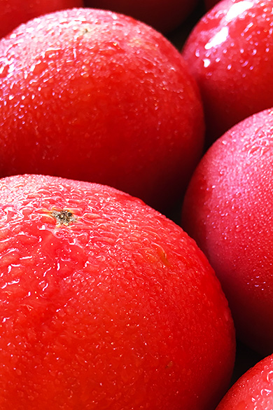 浦和中央青果市場株式会社 市場や青果物