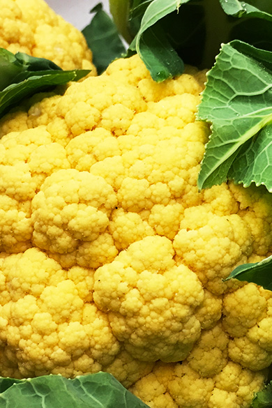 浦和中央青果市場株式会社 市場や青果物