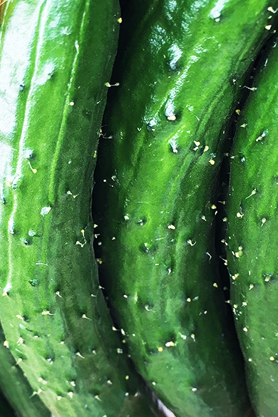 浦和中央青果市場株式会社 市場や青果物