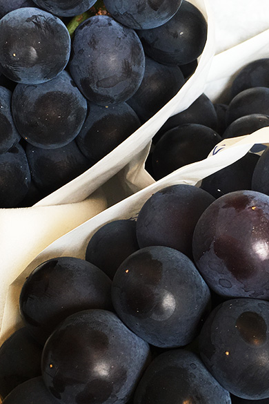 浦和中央青果市場株式会社 市場や青果物