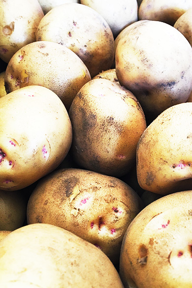 浦和中央青果市場株式会社 市場や青果物