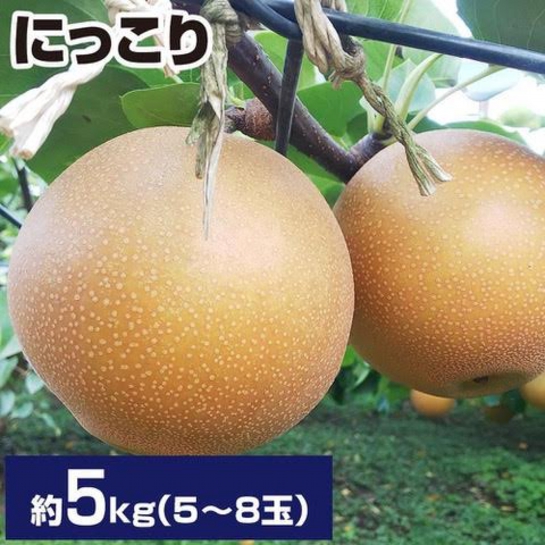 栃木の梨