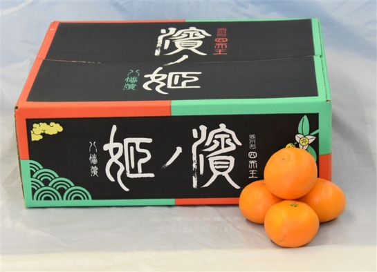 みかん　濱ノ姫（はまのひめ）