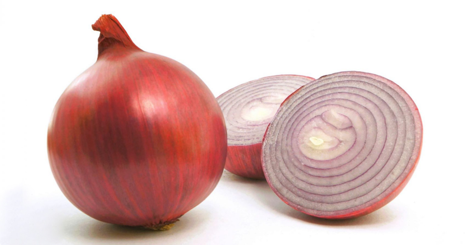 北海道産「たまねぎ」