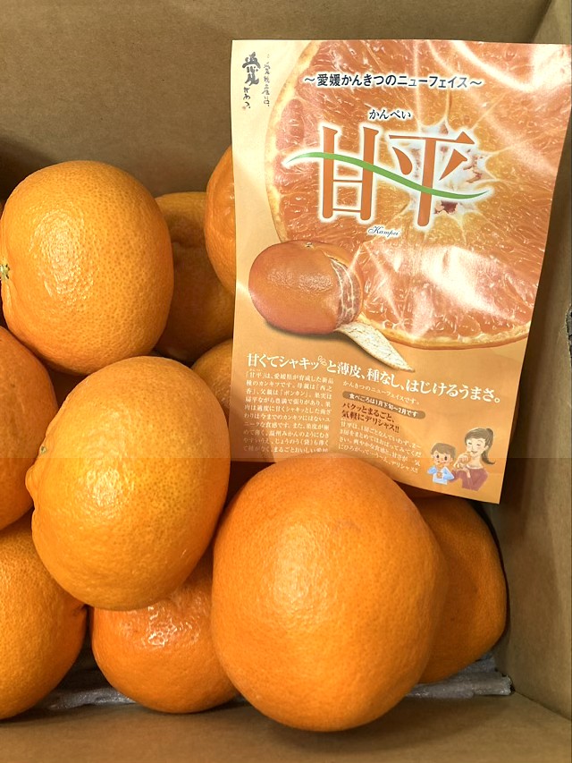 「甘平」と「いよかん」